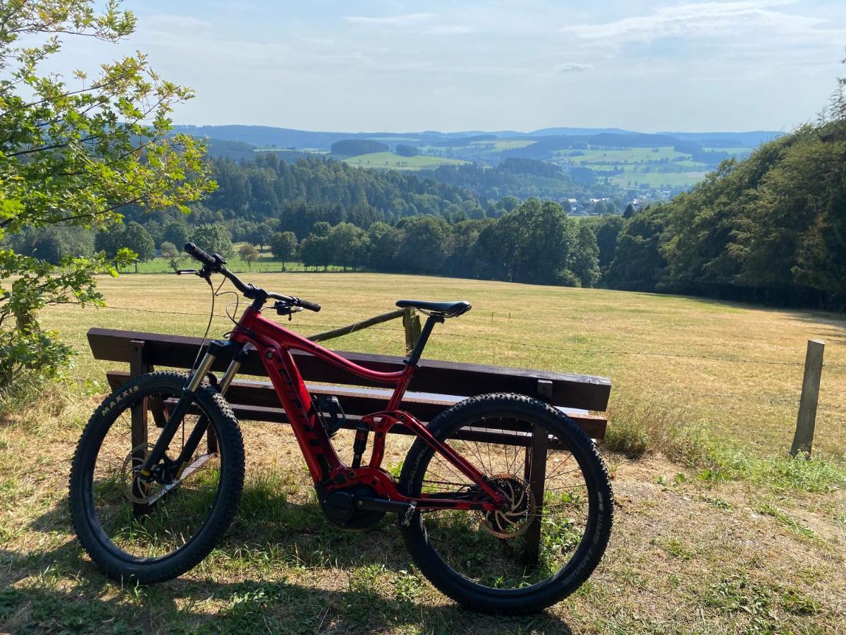 Deutsches Haus Appartement Willingen  Buitenkant foto